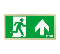ESP D120UBR Duceri Emergency Surface Exit Box 3W LED IP20 Up Legend Lithium Battery Maintained Brass