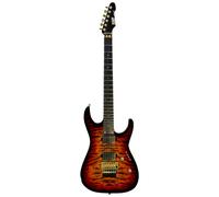 ESP M-II FR QM TESB GH EMG