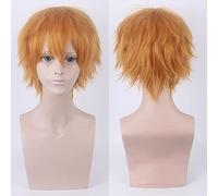 ESPADE Wig for Halloween Fashion Christmas Party Dress Up Wig 30Cm Universal Cos Wig, Anti-Curling Face, Short Hair, Multi-Color Optional Hairy Styling Color: 002-43 Cosplay Anime Wig Coser