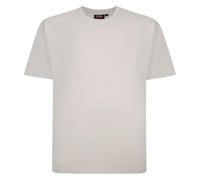 Espionage T-Shirt Crewneck Plain Short Sleeve Classic Mens Plus Size 2XL-8XL T015 (UK, Alpha, 4XL, Plus, Regular, Ecru)