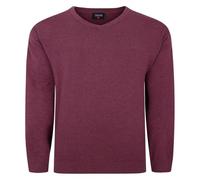 Espionage V Neck Jumper For Men in Grape, 4XL