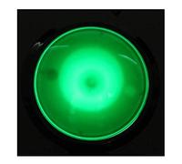 EsportsMJJ 100mm Massive Arcade Button with LED Convexity Console Replacement Button - Green [Video Game]