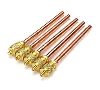 EsportsMJJ 5pcs Metal One-Way Air Valve Air Conditioning Refrigeration Service Access Valve 1/4 Inch