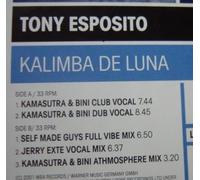 Esposito,Tony - Kalimba de Luna [Vinyl Maxi-Single] [VINYL]