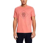 Esprit Men's Esprit T-Shirt, 670/PINK,