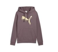 ESS METALLIC Hoodie FL