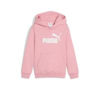 ESS No. 1 Logo Hoodie FL PS