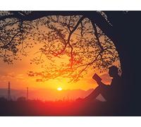 Essayists as Poets: Tapping into Imagery