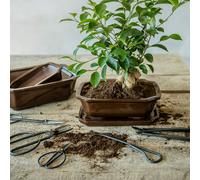 Esschert Design Narrow Bonsai Scissors - 1 item