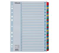 Esselte 100164 A4 1-31 Index, Heavy Duty Cardboard with Mylar Reinforced Tabs, M