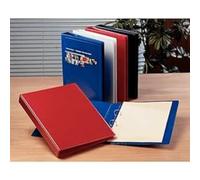 Esselte 49729 A4 25 mm PVC 2DR Present Binder - Black