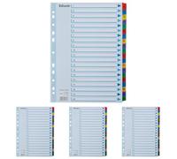 Esselte A4 1-20 Index, Heavy Duty Cardboard with Mylar Reinforced Tabs, Blue/Multicolour (Pack of 4)