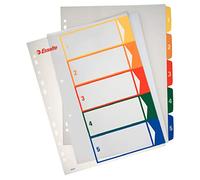 Esselte A4 5 Positions Printable Index Polypropylene