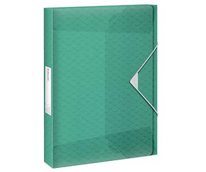 Esselte A4 Box File, Holds 200 Sheets, 25mm Spine, Translucent Document Storage Organiser Folder, Home/Office, Embossed Pattern, Colour'Breeze Range, Green, 626260