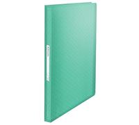 Esselte A4 Display Book With 80 Pockets, 160 Sheet Capacity, For Presenting & Storing Papers/Documents, Home/Office, Embossed Pattern, Colour'Breeze Range, Green, 626238