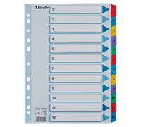 Esselte A4 Index Tabs Mylar Brightly Coloured Organisation Stationery 10 Pack