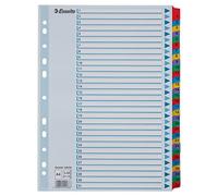 Esselte A4 Mylar 1-31 Part Dividers - Multi-Coloured