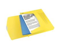 Esselte Box File, Holds up to 350 A4 Sheets, Elastic Closure, Flexible Plastic, Translucent yellow, VIVIDA Range
