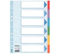 Esselte CF20 Inter Calar Carton 6 Tcolors A4