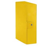 Esselte Eurobox Box File for The Long-Term Storage of documents, A4, 10cm Spine Dorso 10 cm Yellow
