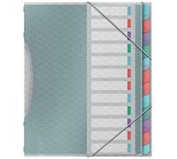 Esselte File Divider Book With 12 Tabs, A4, Acid Free Paper/Document Organiser, Clear Plastic Pockets, Home/Office, Embossed Pattern, Colour'Breeze Range, Multi Colour,626256