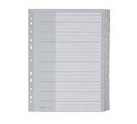 Esselte Leitz 43700000 Plastic Index Blank A4 Polypropylene 10 Sheets Grey