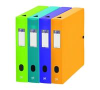Esselte Memphis 100200155 Box File Polypropylene 6 cm 7/10 Spine Pack of 10 Assorted