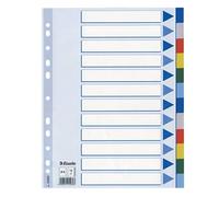 Esselte Mylar File Separator Made of Polypropylene with Mylar Reinforcement, Multicoloured 12 Keys A4 Multi-Coloured