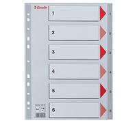 Esselte numeric book, Mylar reinforcement, Polypropylene, Grey 6 keys a4 grey