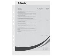 Esselte Economy Pocket Polypropylene Multipunched [Pack 100] - 56133