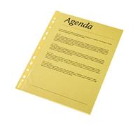 Esselte Quality Punched Pocket, Pack of 10, Holds up to 20 A4 sheets, Transparent, Matte, Yellow, 55 Micron PP Material, 47201