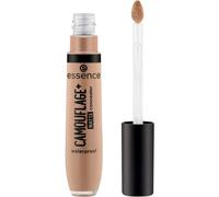 Essence Complexion ConcealerCamouflage + Matte Concealer 170