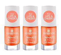 essence WHAT A TINT! lip & cheek tint, blush, 03, orange, long-lasting, instant results, natural, oil-free, paraben-free, nanoparticle-free, pack of 3 (3x4.9ml)