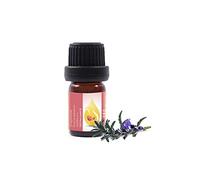 Essences Bulgaria Moldavian Dragonhead Essential Oil 10ml | Dracocephalum Moldavica | 100% Pure and Natural | Undiluted | Therapeutic Grade | Family Owned Farm | Steam-Distilled | Non-GMO | Vegan