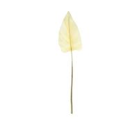Essential Dry Look Bleached Cala Leaf 105Cm 2 Pack - Light Yellow