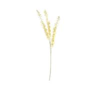 Essential Dry Look Eucalyptus Stem 3 Pack - Natural