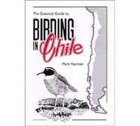 Essential Guide to Birding in Chile