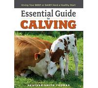 Essential Guide to Calving: Giving Your Beef or Dairy Herd a Healthy Start
