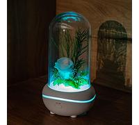 Essential Oil Diffuser, Eternal Rose Flower Aromatherapy Lamp, USB Rechargeable Aroma Diffuser with 7 Color Night Lights, Valentine's Day/ Christmas/ Birthday Gift for Women Girls, Home Decor White