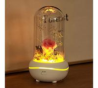 Essential Oil Diffuser, Eternal Rose Flower Aromatherapy Lamp, USB Rechargeable Aroma Diffuser with 7 Color Night Lights, Valentine's Day/ Christmas/ Birthday Gift for Women Girls, Home Decor Pink