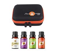 Essential Oil Gift Set Travel Case - 4X 10ml Anxiety Essential Oils - Anxiety, Lavender, Bergamot, Patchouli - Aromatherapy Bottle Zip Storage Carry Kit - Free Tools