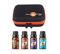 Essential Oil Gift Set Travel Case - 4X 10ml Autumn Essential Oils - Autumn Spice, Cedarwood, Sage, Rosemary - Aromatherapy Bottle Zip Storage Carry Kit - Free Tools