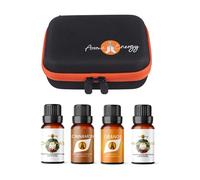 Essential Oil Gift Set Travel Case - 4X 10ml Xmas Essential Oils - Christmas Eve, Cinnamon, Orange & Frankincense & Myrrh - Aromatherapy Bottle Zip Storage Carry Kit - Free Tools