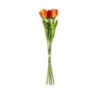 Essential Orange Small Parrot Tulip Bunch 6 Stems Pack Of 6