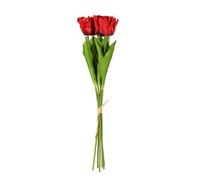 Essential Red Small Parrot Tulip Bunch 6 Stems Pack Of 6