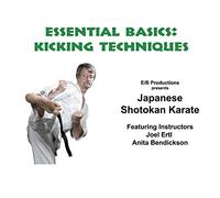 Essential Shotokan Basics: Kicking Techniques