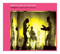 ESSENTIAL SOUNDS ON THE WILD SIDE.-ANALOGFISH: THE BEST & HIBIYA YAON LIVE.-(2CD)