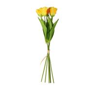 Essential Yellow Small Parrot Tulip Bunch 6 Stems Pack Of 6