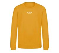 Essentials Collection Kids Mustard Sweatshirt - Mustard / 3-4 years
