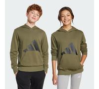 adidas Unisex Kids ESSENTIALS BIG LOGO HOODIE, olive strata/black, 13-14 Years